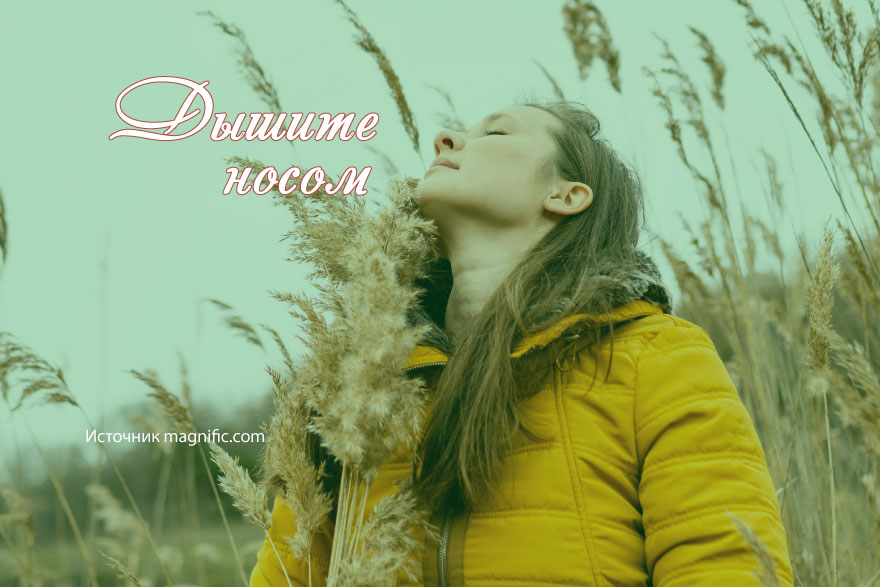 Рентген придаточных пазух носа