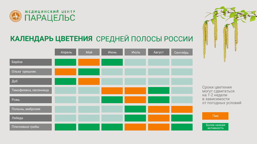 Календарь цветения Календарь цветения